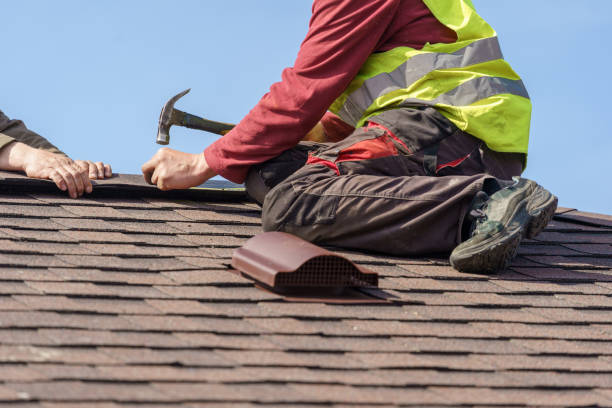Best Gutter Installation and Roofing  in Tolono, IL