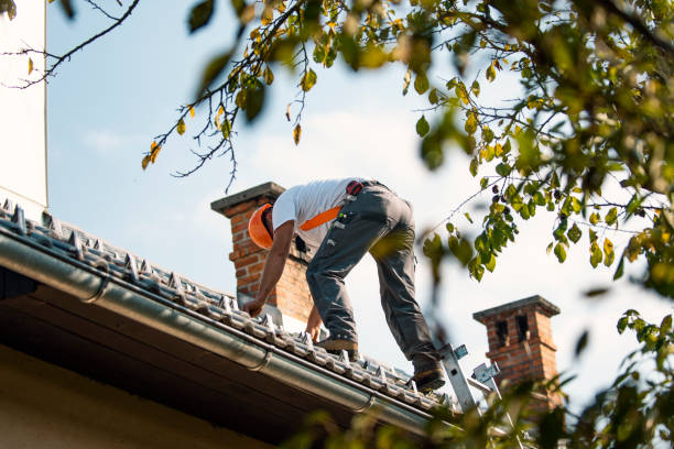 Best Slate Roofing Contractor  in Tolono, IL