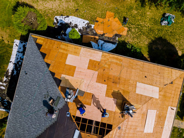 Best Roof Gutter Cleaning  in Tolono, IL