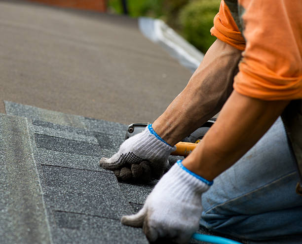Best Residential Roofing Contractor  in Tolono, IL